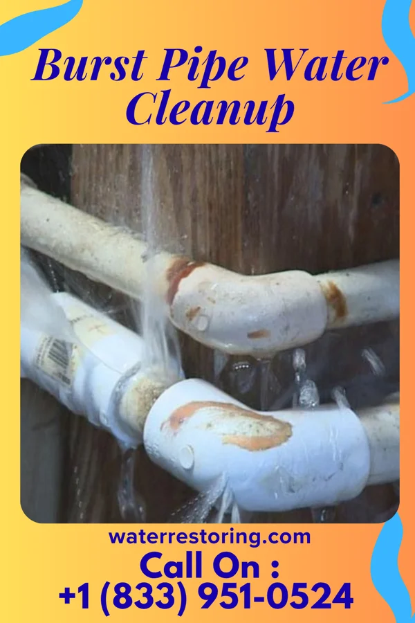 Burst Pipe Water Cleanup in Hills and Dales, KY