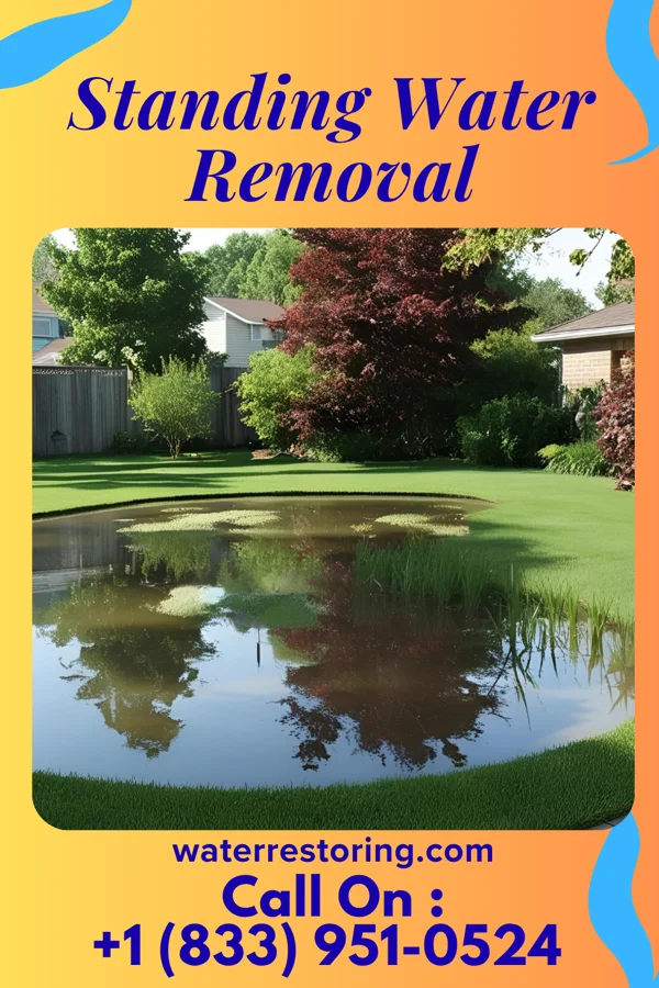 Standing Water Removal in Hills and Dales, KY